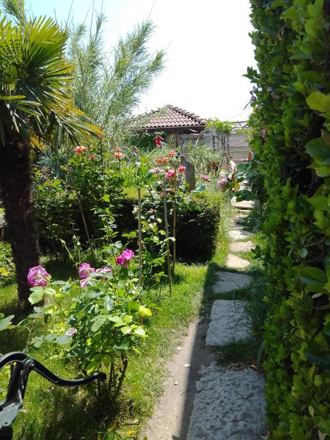 וארנה Guest House Amazonia מראה חיצוני תמונה