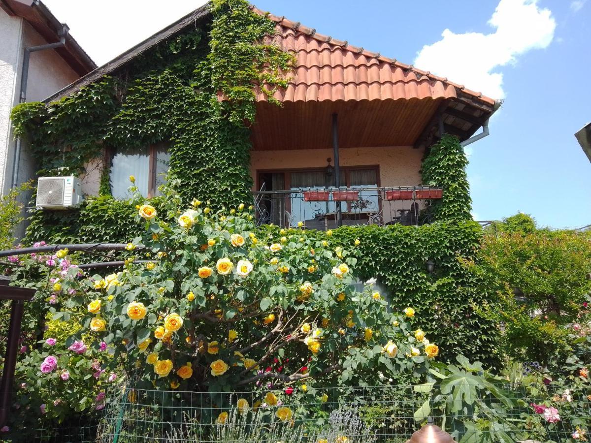 וארנה Guest House Amazonia מראה חיצוני תמונה