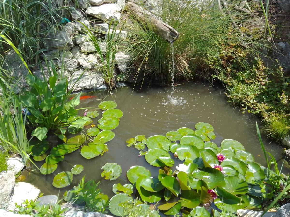 וארנה Guest House Amazonia מראה חיצוני תמונה