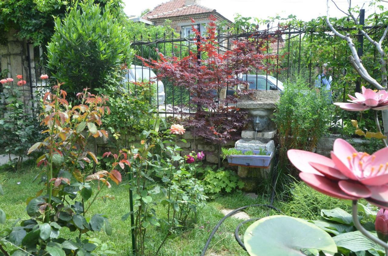 וארנה Guest House Amazonia מראה חיצוני תמונה