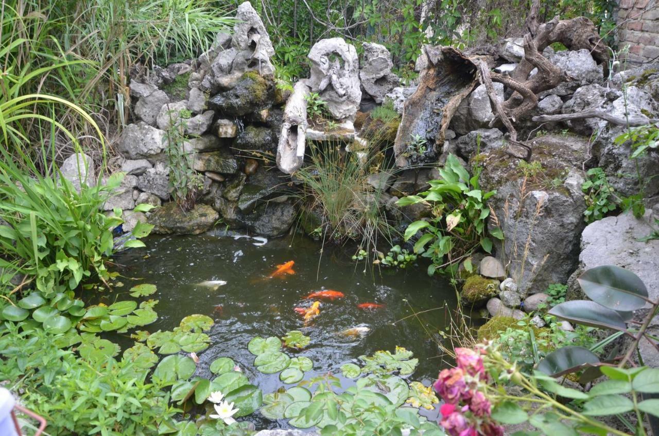 וארנה Guest House Amazonia מראה חיצוני תמונה